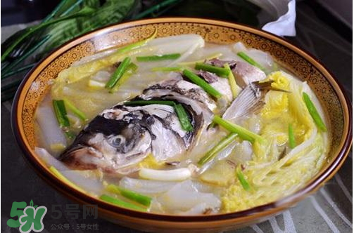 鰱魚湯怎么熬湯？鰱魚湯的功效與作用