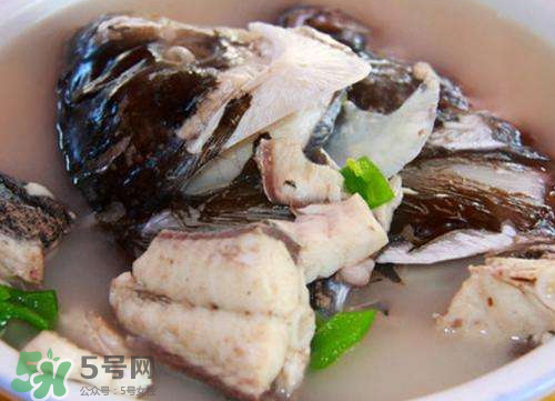 鰱魚湯怎么熬湯？鰱魚湯的功效與作用