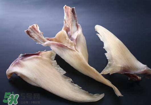 干魚翅怎么保存？魚翅可以放多久？
