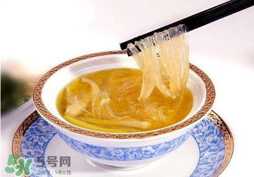 干魚翅怎么保存？魚翅可以放多久？