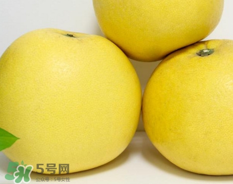 蜜柚是哪個季節(jié)的水果？蜜柚和沙田柚的區(qū)別是什么？