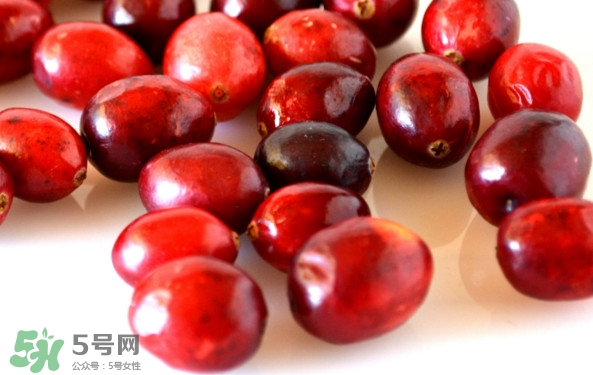 蔓越莓有什么作用？蔓越莓的功效與作用