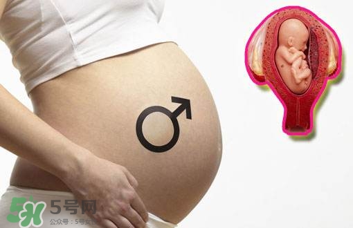 導樂分娩怎么樣？導樂分娩全過程