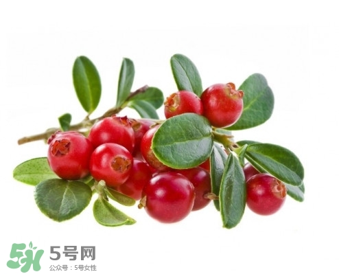 蔓越莓在中國有嗎？蔓越莓怎么辨別真假