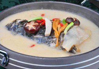 鰱魚湯怎么熬湯？鰱魚湯的功效與作用