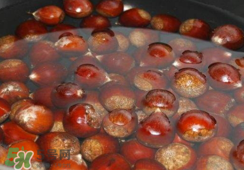 板栗用冷水還是熱水煮？煮板栗用冷水還是熱水？