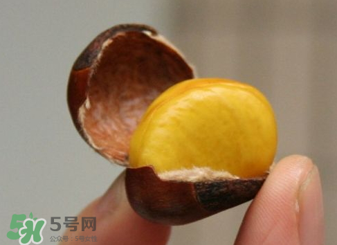 板栗用冷水還是熱水煮？煮板栗用冷水還是熱水？