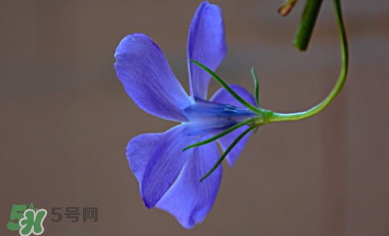 見封滾是什么意思？