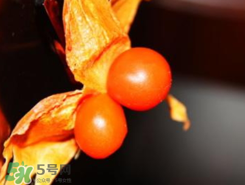 紅姑娘皮泡水治咽炎嗎？紅姑娘皮泡水的副作用