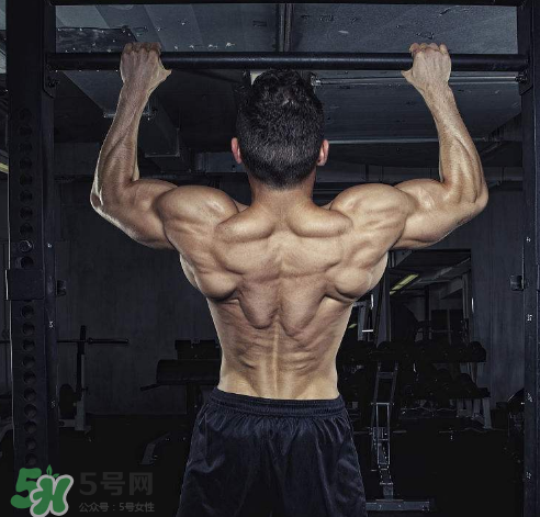 引體向上背部怎么發(fā)力？引體向上發(fā)力技巧