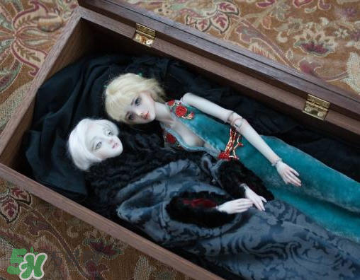 Enchanted Doll多少錢？Enchanted Doll哪里買？