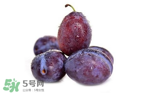 西梅可以放冰箱嗎？西梅放冰箱冷藏還是冷凍？
