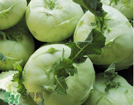 苤藍(lán)什么季節(jié)種植？苤藍(lán)什么時(shí)候采收