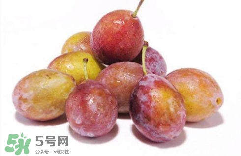 西梅可以放冰箱嗎？西梅放冰箱冷藏還是冷凍？