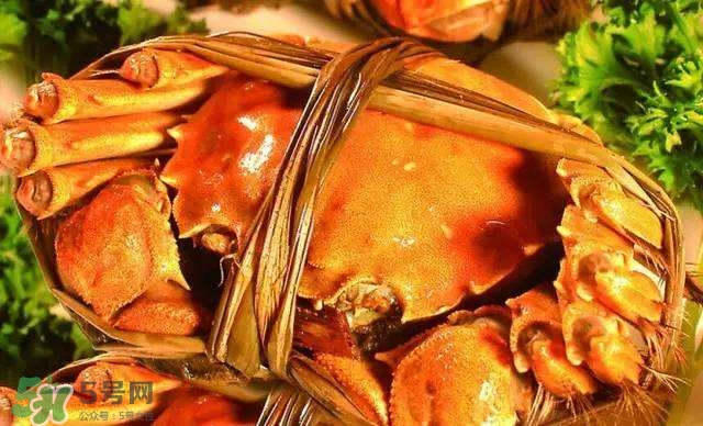 螃蟹吃什么食物長得大？十月份吃什么螃蟹？