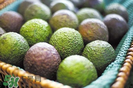 牛油果吃了對子宮好嗎？牛油果對子宮的好處