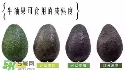 牛油果是什么味道？牛油果是甜的嗎？
