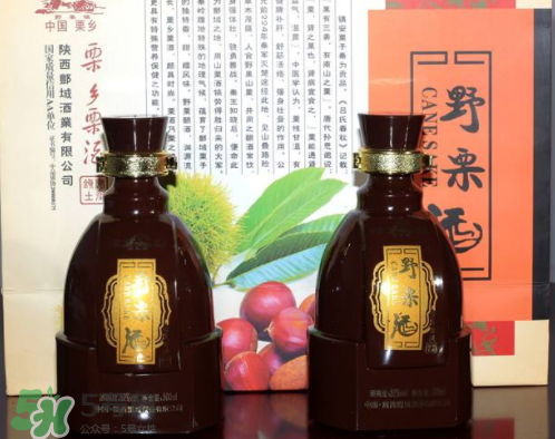 泡板栗酒用什么酒最好？板栗用什么酒泡最好？