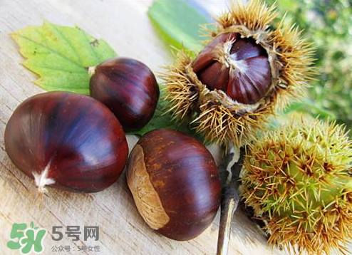 板栗泡酒真的能壯陽嗎？板栗泡酒有什么功效？