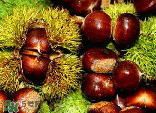 板栗泡酒要去皮嗎？板栗泡酒不去皮可以嗎？