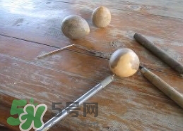 牛油果核能吃嗎？牛油果核怎么種盆栽？