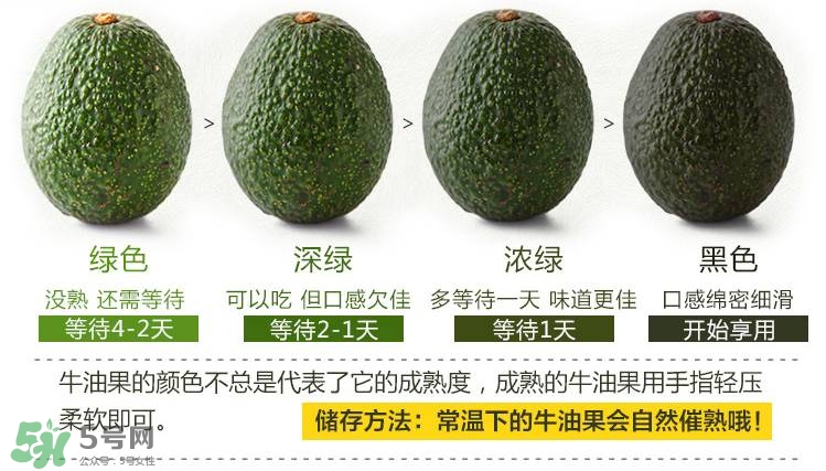 牛油果生的能吃嗎？牛油果怎么催熟快？