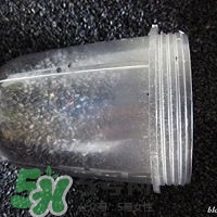核桃粉怎么做？核桃粉的功效與作用