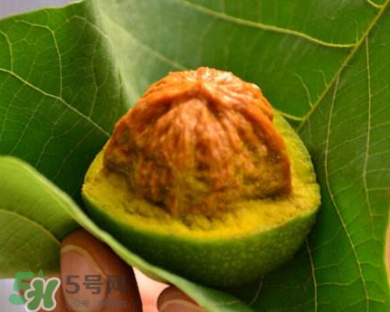 青皮核桃可以冷凍嗎？青皮核桃可以冷藏嗎？