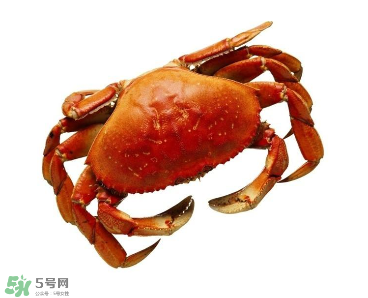 哪種螃蟹不能吃？什么樣的螃蟹不能吃？