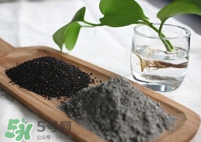 核桃粉寶寶可以吃嗎？寶寶幾個月可以吃？