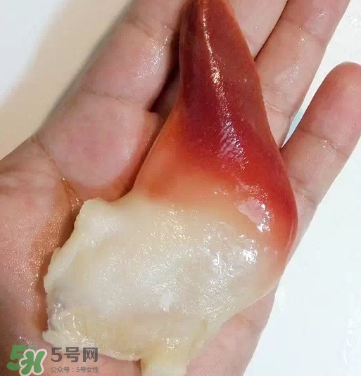 北極貝多少錢一斤？北極貝長什么樣子