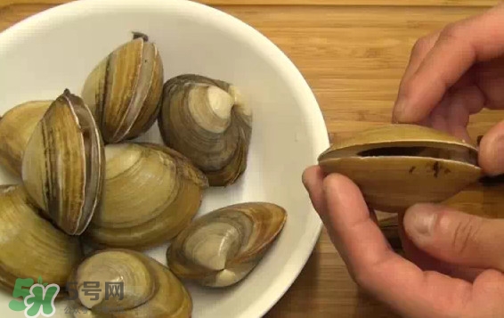 北極貝多少錢一斤？北極貝長什么樣子