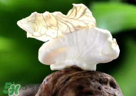 新鮮核桃要?jiǎng)兤幔縿兤r(shí)手變黑怎么清洗？