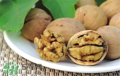 核桃分心木可以煲湯嗎？核桃分心木可以和枸杞泡水嗎？