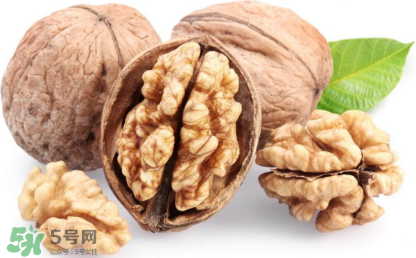 核桃分心木是什么東西？核桃分心木能泡酒喝嗎？