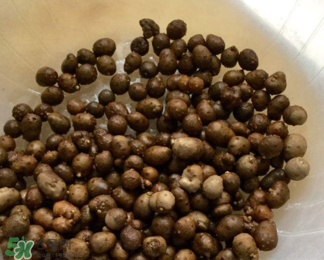 山藥豆能生吃嗎？山藥豆能帶皮吃嗎？
