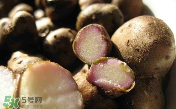 山藥豆能泡酒嗎？山藥豆能打豆?jié){嗎？