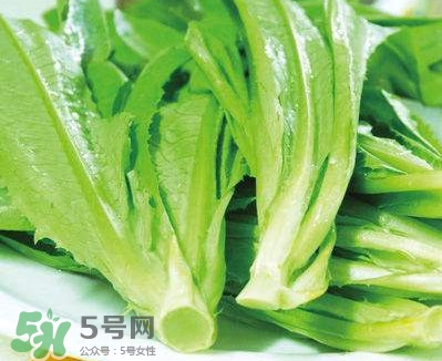 萵苣葉能吃嗎？萵苣葉和油麥菜有什么區(qū)別