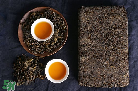 茯茶是熱性還是涼性？茯茶是不是放越久越好？