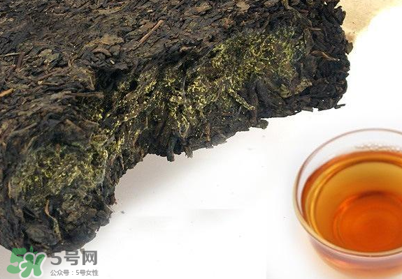 茯茶是熱性還是涼性？茯茶是不是放越久越好？