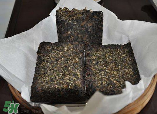 茯茶是熱性還是涼性？茯茶是不是放越久越好？