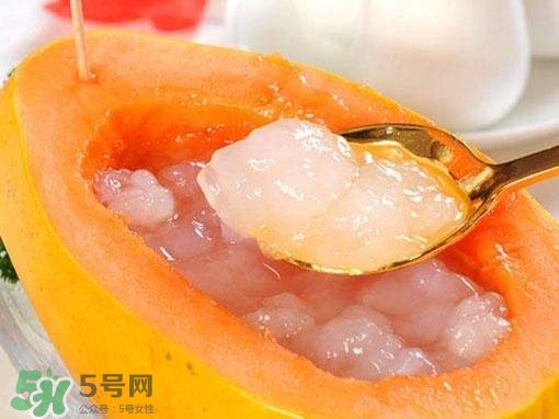如何分辨雪蛤真假？挑雪蛤的方法