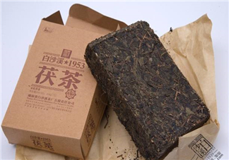 茯茶是什么茶？茯茶是黑茶嗎？