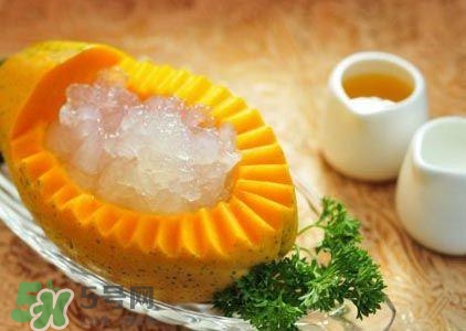 雪蛤膏是啥？雪蛤膏的功效與作用