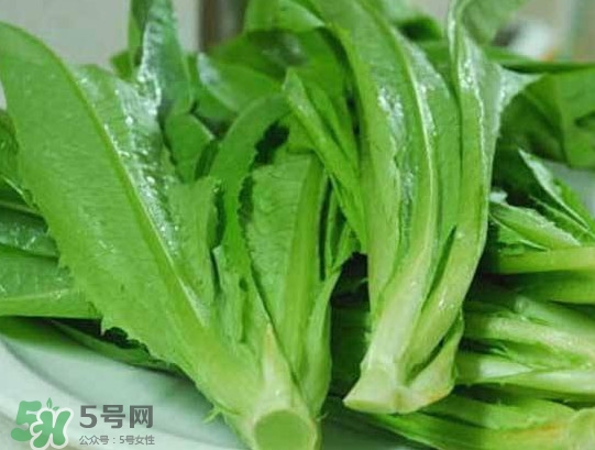 孕婦能吃涼拌萵苣葉嗎？萵苣葉煮水可以治蕁麻疹嗎