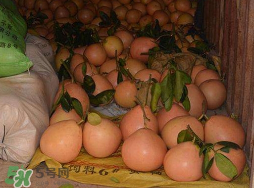 三紅蜜柚什么時(shí)候種植？三紅蜜柚什么時(shí)候成熟