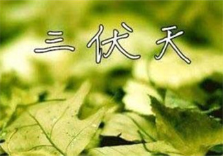 為什么三伏天最熱？如何過好三伏天？