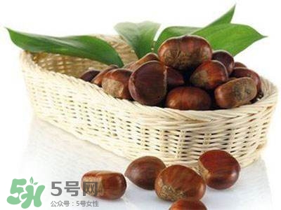 板栗酒能治療腎陽(yáng)虛嗎？板栗泡酒真的能壯陽(yáng)嗎？