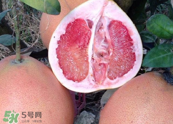 三紅蜜柚口味怎么樣？三紅蜜柚苗多少錢一棵