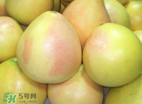 三紅蜜柚什么時(shí)候種植？三紅蜜柚什么時(shí)候成熟
